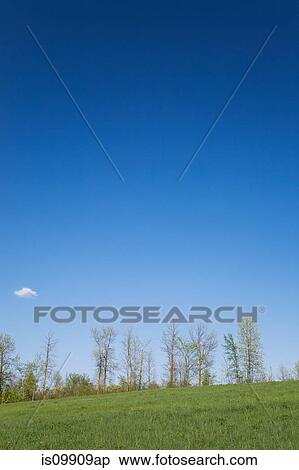 Field with trees on horizon View Large Photo Image Stock Photography - Field with trees on horizon. Fotosearch