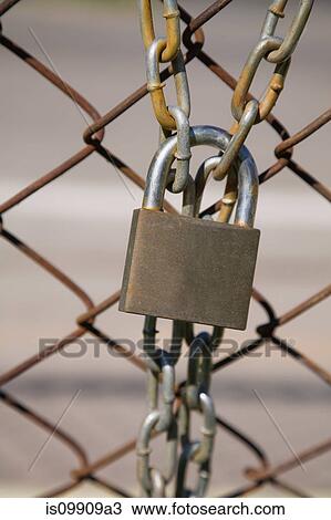Padlock and wire mesh fence View Large Photo Image Stock Image - Padlock and wire mesh fence. Fotosearch