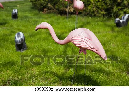 Plastic flamingo on lawn View Large Photo Image Stock Photo - Plastic flamingo on lawn. Fotosearch