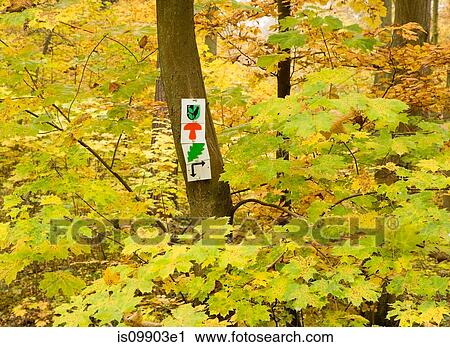 Stock Image - Sign on tree trunk in forest. Fotosearch