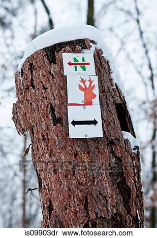 Stock Photography - Sign on tree trunk. Fotosearch