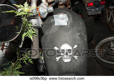 Skull and crossbones on motorbike fuel tank View Large Photo Image Stock Photography - Skull and crossbones on motorbike fuel tank. Fotosearch
