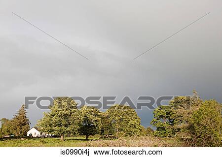 Trees and a house, Co. Galway, Ireland View Large Photo Image Stock Image - Trees and a house, Co. Galway, Ireland. Fotosearch