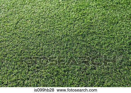 Close up of astro turf View Large Photo Image Stock Photo - Close up of astro turf. Fotosearch