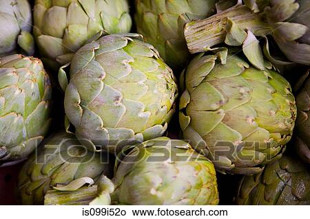 Overhead view of artichoke View Large Photo Image Picture - Overhead view of artichoke. Fotosearch
