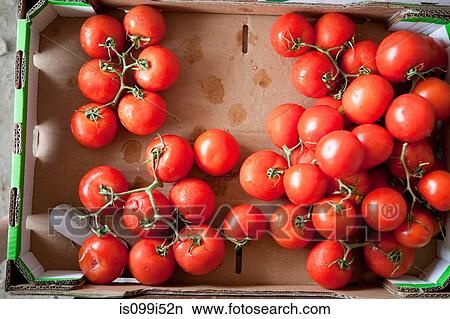 Overhead view of ripe tomatoes View Large Photo Image Picture - Overhead view of ripe tomatoes. Fotosearch