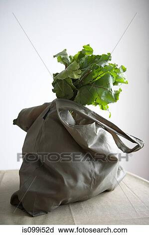 Sack of fresh leafy vegetables, studio shot View Large Photo Image Stock Image - Sack of fresh leafy vegetables, studio shot. Fotosearch