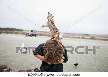 Stock Image - Squirrel standing on a boy's head. Fotosearch