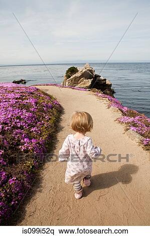 Toddler walking along path next to pink flowers View Large Photo Image Stock Photography - Toddler walking along path next to pink flowers. Fotosearch