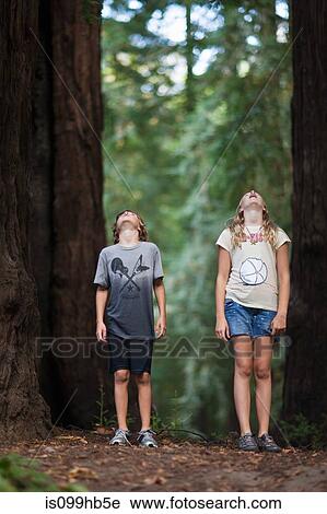 Stock Image - Two children looking up at a tree in awe. Fotosearch