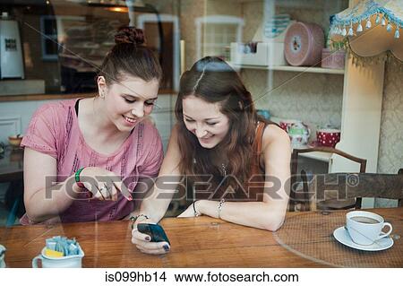 Picture - Young women in cafe looking at cell phone. Fotosearch