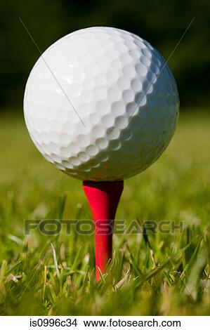 Picture - Golf ball and tee, close up. Fotosearch