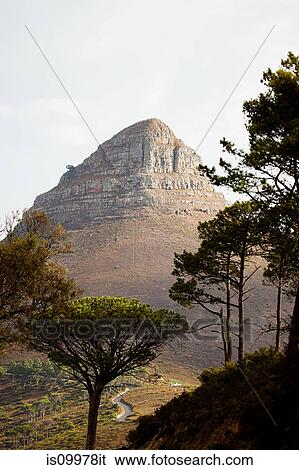 Lion's Head mountain viewed from Signal Hill, Cape Town South Africa, View Large Photo Image Stock Photograph - Lion's Head mountain viewed from Signal Hill, Cape Town South Africa,. Fotosearch