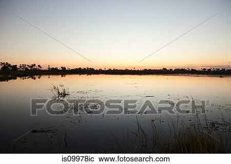Sunset on the water in the Okavango Delta, Botswana, Africa View Large Photo Image Stock Image - Sunset on the water in the Okavango Delta, Botswana, Africa. Fotosearch