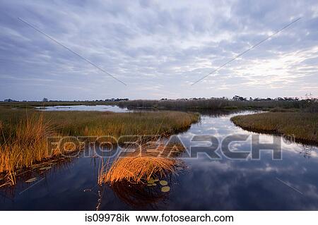 Sunset over the Okavango Delta, Botswana View Large Photo Image Stock Image - Sunset over the Okavango Delta, Botswana. Fotosearch