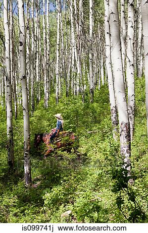 Stock Image - Woman riding horse through forest, Colorado, USA. Fotosearch