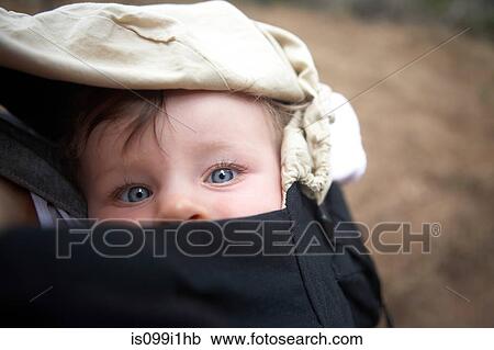 Baby girl in carrier, portrait View Large Photo Image Stock Image - Baby girl in carrier, portrait. Fotosearch