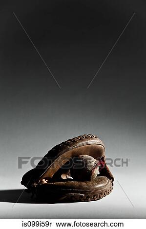 Baseball ball in glove View Large Photo Image Stock Photography - Baseball ball in glove. Fotosearch