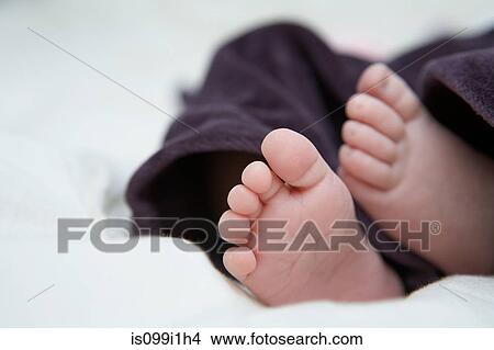 Close up of baby's feet View Large Photo Image Picture - Close up of baby's feet. Fotosearch