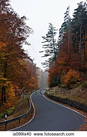 Stock Image - Country road through forest near Frankfurt, Germany. Fotosearch