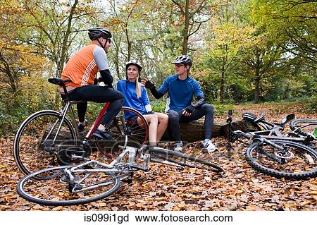 Cyclists in park, taking a break View Large Photo Image Stock Image - Cyclists in park, taking a break. Fotosearch