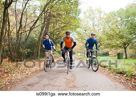 Cyclists on path in park View Large Photo Image Stock Image - Cyclists on path in park. Fotosearch