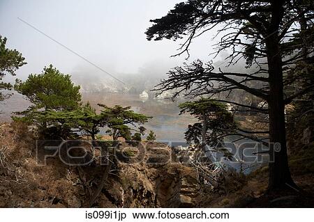 Stock Photography - Napa Valley, California, USA. Fotosearch