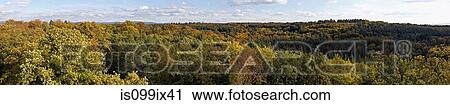 Panorama of forest near Frankfurt, Germany View Large Photo Image Stock Image - Panorama of forest near Frankfurt, Germany. Fotosearch