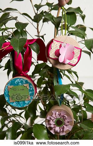 Plant decorated with gifts for baby shower View Large Photo Image Stock Image - Plant decorated with gifts for baby shower. Fotosearch