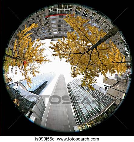 Skyscrapers in financial district, Frankfurt, Germany View Large Photo Image Stock Image - Skyscrapers in financial district, Frankfurt, Germany. Fotosearch