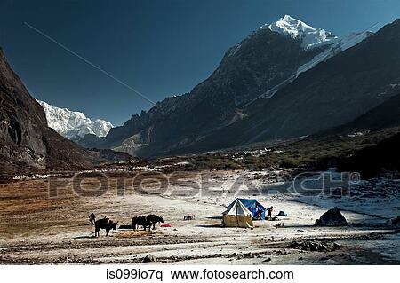 Thangsing, Himalayan Kanchenjungs Region, Sikkim, India View Large Photo Image Stock Photography - Thangsing, Himalayan Kanchenjungs Region, Sikkim, India. Fotosearch