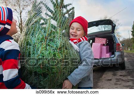 Stock Photo - Two boys lifting Christmas tree to car. Fotosearch