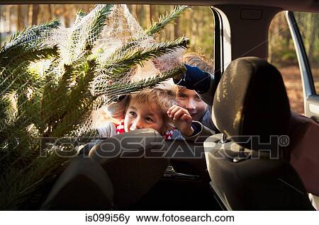 Two boys looking at Christmas tree in car View Large Photo Image Stock Photo - Two boys looking at Christmas tree in car. Fotosearch