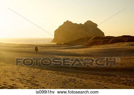 Woman walking through on beach, New Zealand View Large Photo Image Stock Photo - Woman walking through on beach, New Zealand. Fotosearch