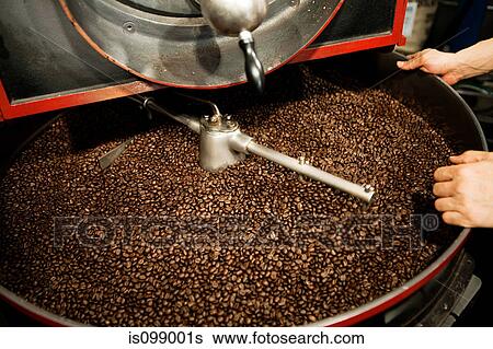 Coffee beans in coffee grinder View Large Photo Image Stock Photograph - Coffee beans in coffee grinder. Fotosearch