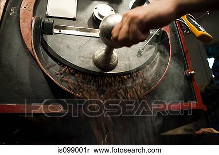Coffee beans in coffee grinder View Large Photo Image Stock Photography - Coffee beans in coffee grinder. Fotosearch