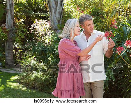 Couple looking at flowers in garden View Large Photo Image Stock Photo - Couple looking at flowers in garden. Fotosearch