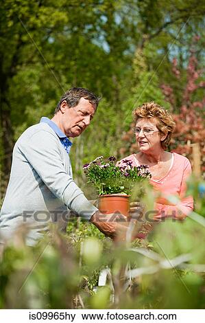 Couple looking at plants at garden center View Large Photo Image Stock Photo - Couple looking at plants at garden center. Fotosearch