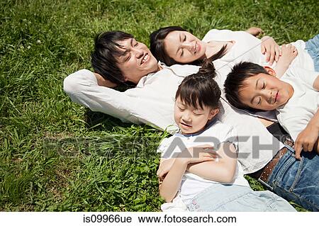 Family lying on grass View Large Photo Image Stock Image - Family lying on grass. Fotosearch