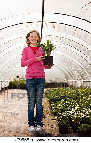 Girl holding pot plant in polytunnel, portrait View Large Photo Image Picture - Girl holding pot plant in polytunnel, portrait. Fotosearch
