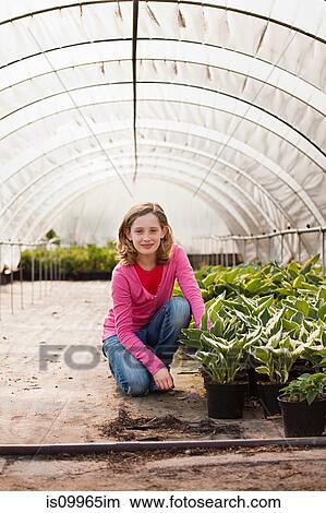 Picture - Girl kneeling by plants in polytunnel. Fotosearch