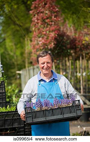 Man carrying crate of flowers, portrait View Large Photo Image Picture - Man carrying crate of flowers, portrait. Fotosearch