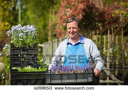 Man carrying crate of flowers, portrait View Large Photo Image Stock Image - Man carrying crate of flowers, portrait. Fotosearch