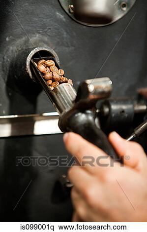 Man using coffee grinder, close up of coffee beans View Large Photo Image Stock Photography - Man using coffee grinder, close up of coffee beans. Fotosearch