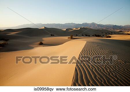 Mesquite Flat Sand Dunes, Death Valley, Nevada, USA View Large Photo Image Stock Photo - Mesquite Flat Sand Dunes, Death Valley, Nevada, USA. Fotosearch