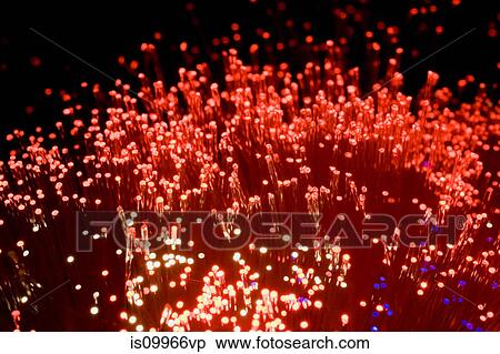 Red fibre optic lights View Large Photo Image Stock Photography - Red fibre optic lights. Fotosearch