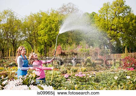 Woman and girl watering plants with hose View Large Photo Image Stock Image - Woman and girl watering plants with hose. Fotosearch