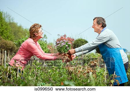 Woman buying plants at garden center View Large Photo Image Stock Image - Woman buying plants at garden center. Fotosearch
