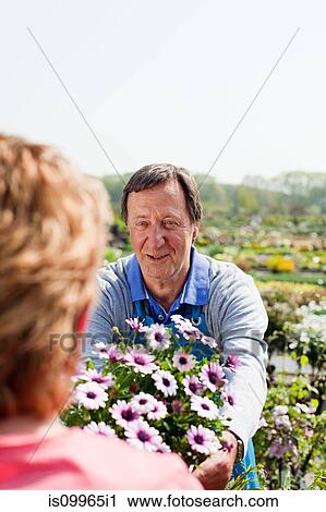 Woman buying plants at garden center View Large Photo Image Stock Image - Woman buying plants at garden center. Fotosearch