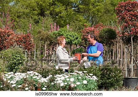 Woman buying plants at garden center View Large Photo Image Stock Photo - Woman buying plants at garden center. Fotosearch